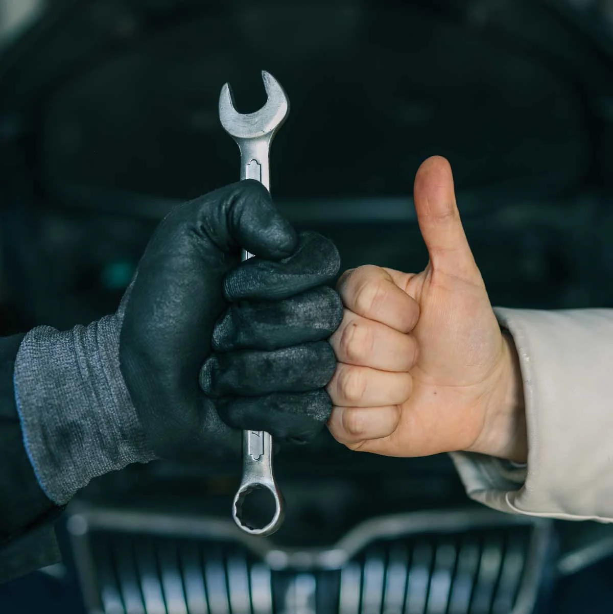 Reviews of our services