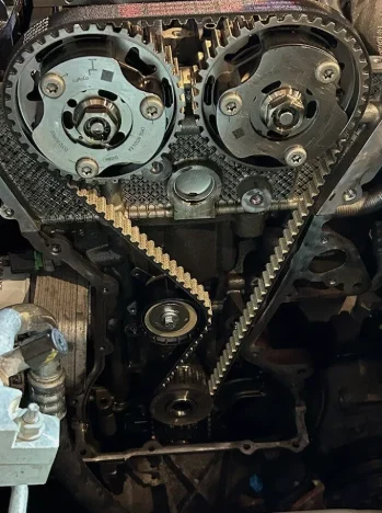 Wet Timing Belts: What Every Local Driver Needs to Know